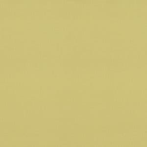 Marmoleum-Piano-3634-meadow