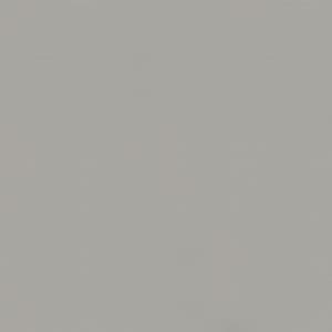 Marmoleum-Walton-171-cement